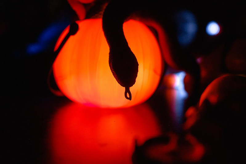 Украшение дома паутиной и летучими мышами к Хэллоуину в Kazan